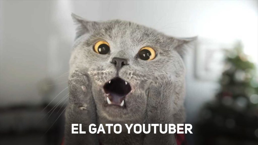 El gato más famoso de youtube combatiendo con ladrones ViralMobile